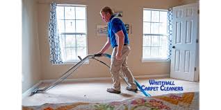 professional carpet cleaning in