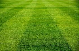 Residential Lawn Care Services In Akron