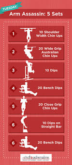 The Beastmode 30 Day Calisthenics Workout Plan