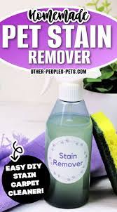 homemade pet stain carpet cleaner