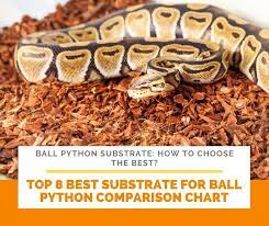 ball python substrate how to choose