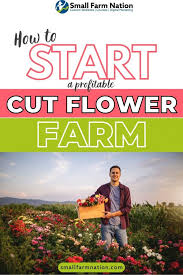 How To Start A Profitable Flower Farm