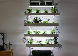 hectar hydroponics projeto de horta