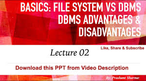 dbms advanes and disadvanes