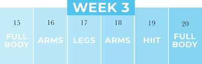 4 Week Workout Plan Pdf With Meal Plan