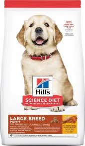 best large breed puppy foods 2022 dog