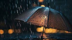 rain stock photos images and
