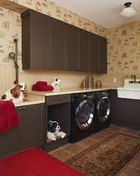 Dog Washing Station Ideas A Practical