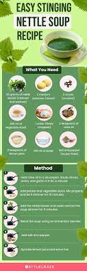 10 health benefits of stinging nettle