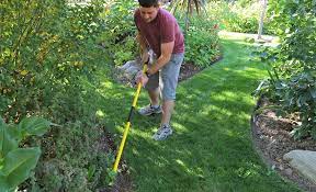 The Best Weeding Tools For Your Yard