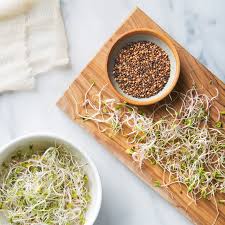 5 health benefits of alfalfa sprouts