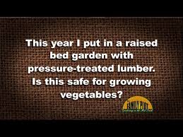 Grow Vegetables In A Pressure Treated