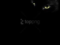 Black Cat Eyes Background Best Stock