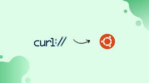 how to install and use curl on ubuntu 20 04