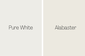 Alabaster And Pure White Sw