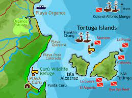 tortuga island dive sites montezuma