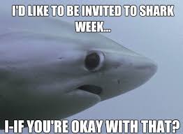 really funny memes the shy shark