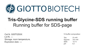tris glycine sds running buffer 10x