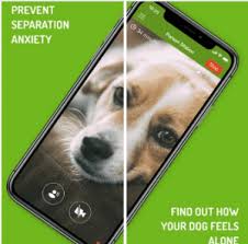 It is developed by american red cross for android and ios users which helps you to take care of your pets. 7 Best Pet Camera Apps For Android Ios Free Apps For Android And Ios