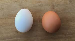 Duck Eggs Vs Chicken Eggs How Do They Compare Tyrant Farms