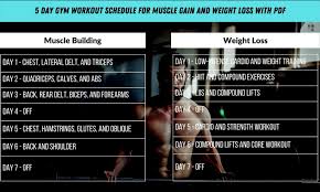 gym workout schedule for muscle gain