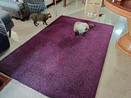 dark purple high pile rug from ikea