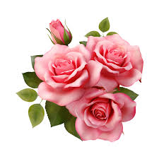 beautiful pink rose flower ai generated