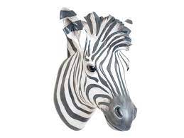 Zebra Head Uk