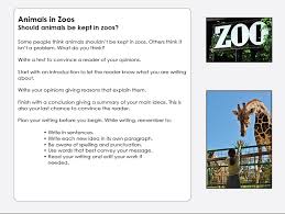 The Zoo Story Essay   wwwBookRagscom