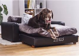 Moots Personalized Leatherette Sofa Cat