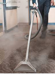 carpet cleaning service at best