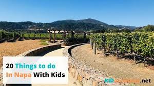 20 things to do in napa with kids