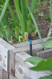 Diy Micro Spray Irrigation For Raised