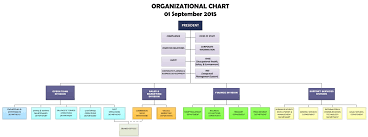 Organizational Chart Harbor Star
