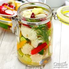 refrigerator pickles with any vegetable