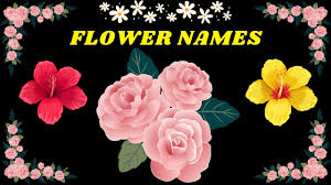 learn flowers name flowers song