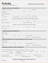 Five Simple But Important Form And Resume Template Ideas