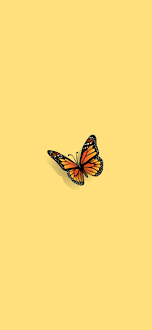 Butterfly iPhone 12 Wallpapers Free ...