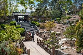 japanese garden at huntington reopens