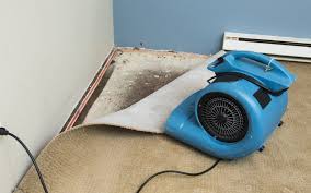 Flood With Dehumidifiers Air Flow Fans