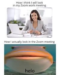 In 2020, meetings have changed dramatically and most of them were over video conference like zoom meetings. How I Think I Will Look In My Zoom Work Meeting Meme Ahseeit
