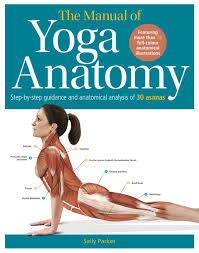 yoga anatomy ebook by sally parkes
