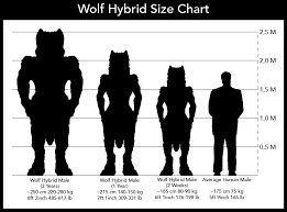 Wolf Hybrid Size Chart Walls Novel By Raedwulf Fur