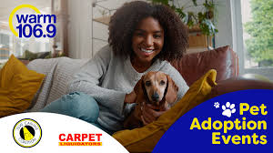 carpet liquidators pet adoption event