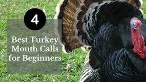 what-is-the-best-turkey-mouth-call-for-beginners