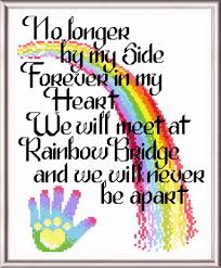 Rainbow bridge poem digital download pet loss pet sympathy gift. Let S Cross The Rainbow Bridge Cross Stitch Pattern By Ursula Michael Crosstitch Com