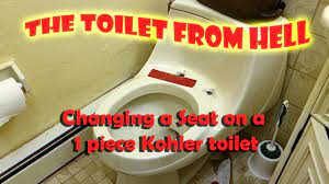 Before You Buy a Kohler One Piece Toilet, Watch this Video on Replacing a Toilet  Seat - YouTube