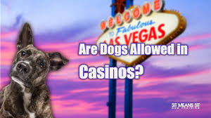 are dogs allowed in las vegas s