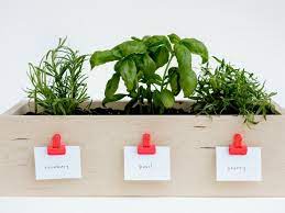 how to make a kitchen planter box for