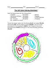 This is the most important part of the guide, and it should be used before starting to do any coloring. Kami Export Cell Cycle Coloring 1 1 Name Date Period The Cell Cycle Coloring Worksheet Label The Diagram Below With The Following Labels 1 Course Hero